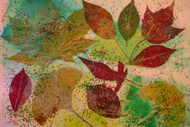 Leaf collage - Evelyn